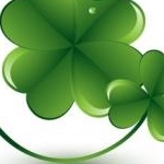 TAMAさんのプロフィール画像