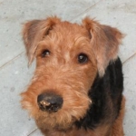 andyさんのプロフィール画像