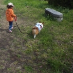 マロたまさんのプロフィール画像