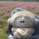 usagiさんのプロフィール画像