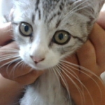 李美亜さんのプロフィール画像