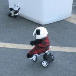 chaichaiさんのプロフィール画像