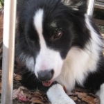 なっちさんのプロフィール画像