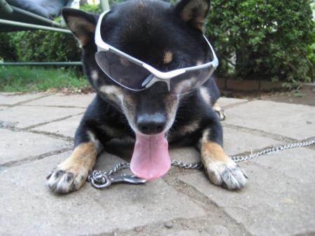 twogetさんのプロフィール画像