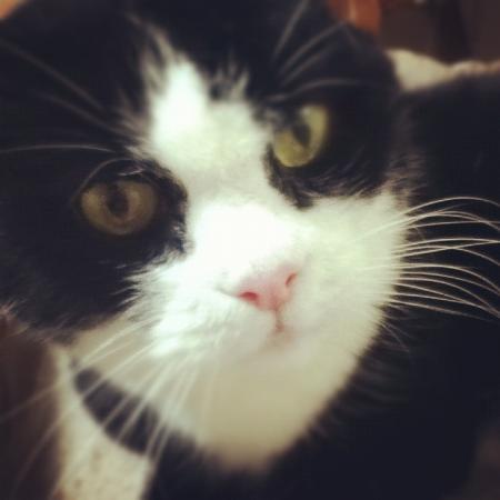 りらっくまどさんのプロフィール画像