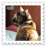 かえろんさんのプロフィール画像