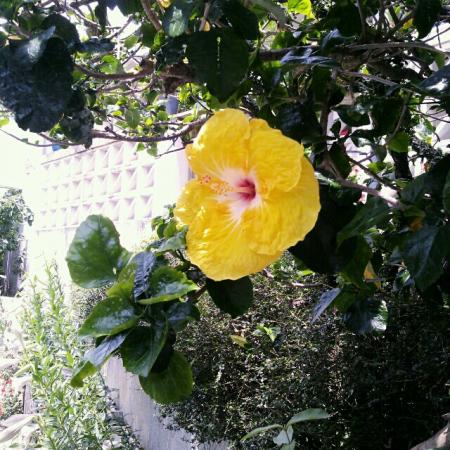 nanamiさんのプロフィール画像