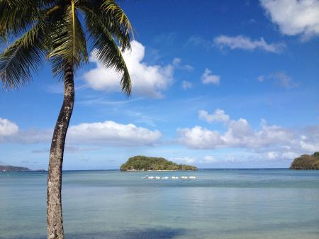 moniさんのプロフィール画像