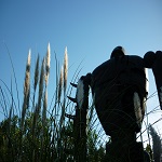 なっちーさんのプロフィール画像