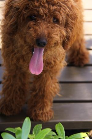 み～ちゃん♪さんのプロフィール画像