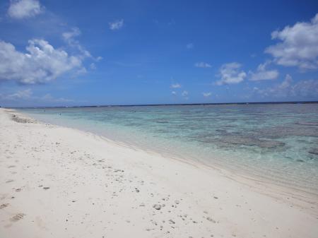 いぬ子さんのプロフィール画像