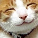 ぱるるさんのプロフィール画像