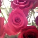 ☆asahiさんのプロフィール画像