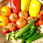 Mikiさんのプロフィール画像