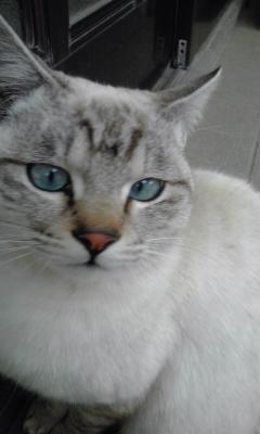 まるさんのプロフィール画像