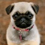 ゆうさんのプロフィール画像