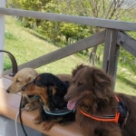 ゆうままさんのプロフィール画像