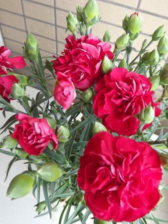 もちもちさんのプロフィール画像