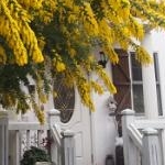 カントリーハウスさんのプロフィール画像