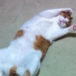 なっつさんのプロフィール画像