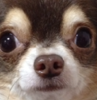 ほっぺさんのプロフィール画像