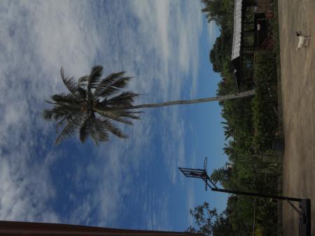 jasmineさんのプロフィール画像