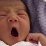 きの姫さんのプロフィール画像