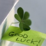 popuさんのプロフィール画像