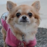 むうさんのプロフィール画像