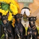 uniさんのプロフィール画像