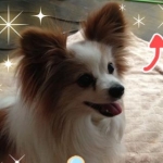 KEIKAさんのプロフィール画像