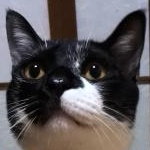 eriさんのプロフィール画像