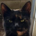 ペンギンさんのプロフィール画像