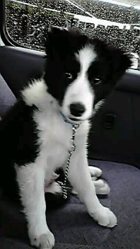 あんじさんのプロフィール画像