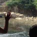 アップルさんのプロフィール画像