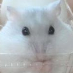 ぽんすけさんのプロフィール画像