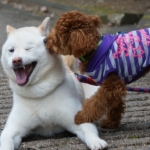 ☆彡そら☆彡さんのプロフィール画像