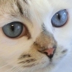 たまらさんのプロフィール画像