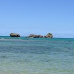 ハニーさんのプロフィール画像