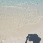 syuandpanさんのプロフィール画像