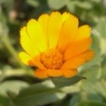 ayaさんのプロフィール画像