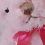 あかねんさんのプロフィール画像