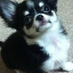 凛さんのプロフィール画像