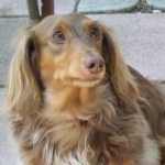 みちぽんさんのプロフィール画像