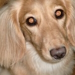 えみりんさんのプロフィール画像