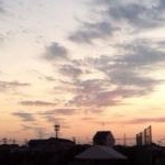 mahotanさんのプロフィール画像