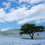 ぬくもりすとさんのプロフィール画像