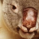 まふさんのプロフィール画像