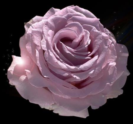 はこももさんのプロフィール画像