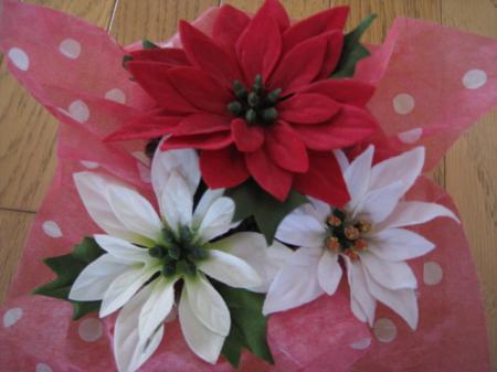 トムちんさんのプロフィール画像